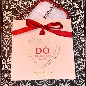 HOLDING-Limited Edition Valentines Day Pandora Bag